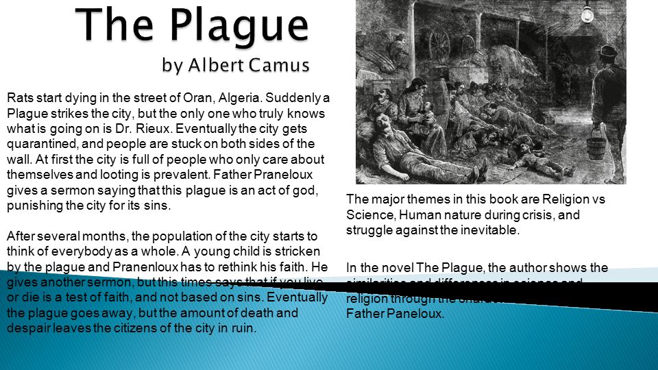 the plague albert camus